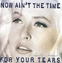 Wendy James : Now Ain't the Time for Your Tears